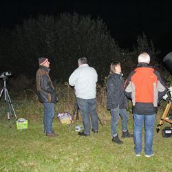 Nacht-Teleskope_Bild6.jpg