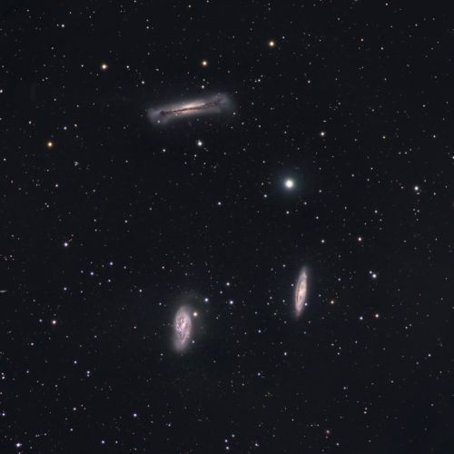 Drei Galaxien im Leo-Triplett