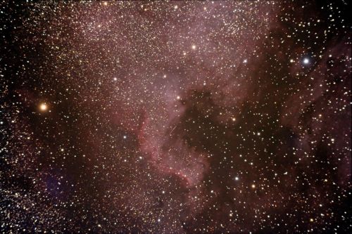 NGC 7000 - Der Nordamerika - Nebel