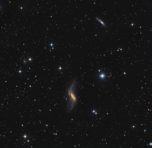 NGC 660 – eine Polarring-Galaxie