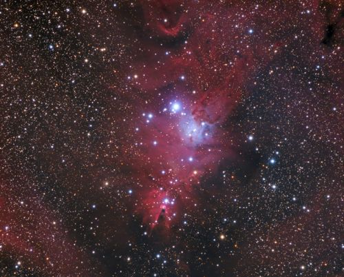 NGC 2264 – ein Weihnachtsbaum im Einhorn 