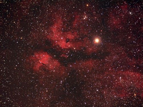 IC 1318 im Sternbild Schwan