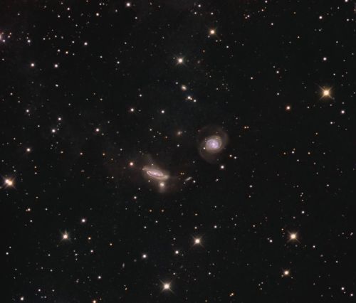 Die NGC 7771 - Gruppe