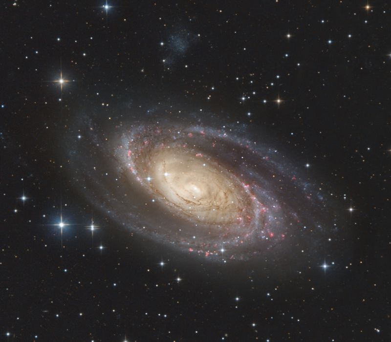 Abbildung: Messier 81 bildet das Zentrum der nach ihr benannten M81-Gruppe