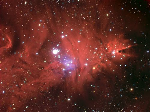NGC 2264 - der Weihnachtsbaum-Sternhaufen