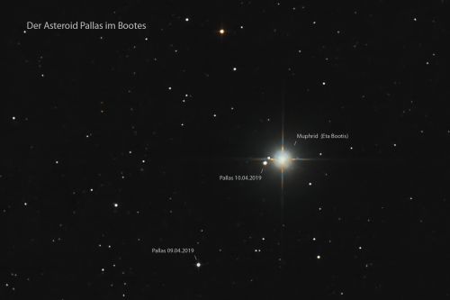 Pallas im Sternbild Bootes