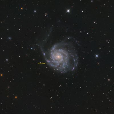 Messier 101 mit der Supernova SN2023ixf