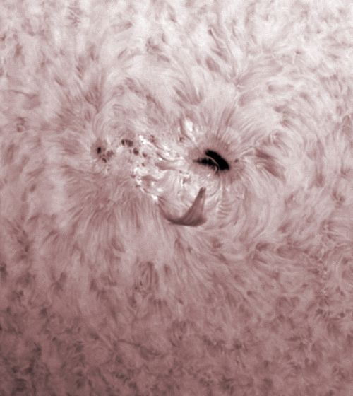 AR 12665 - Große Sonnenfleckengruppe in H-Alpha