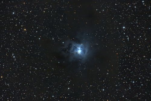 NGC 7023, der Irisnebel