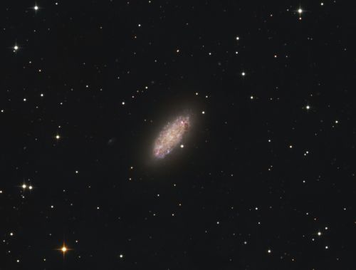 NGC 2976 im Sternbild Große Bärin
